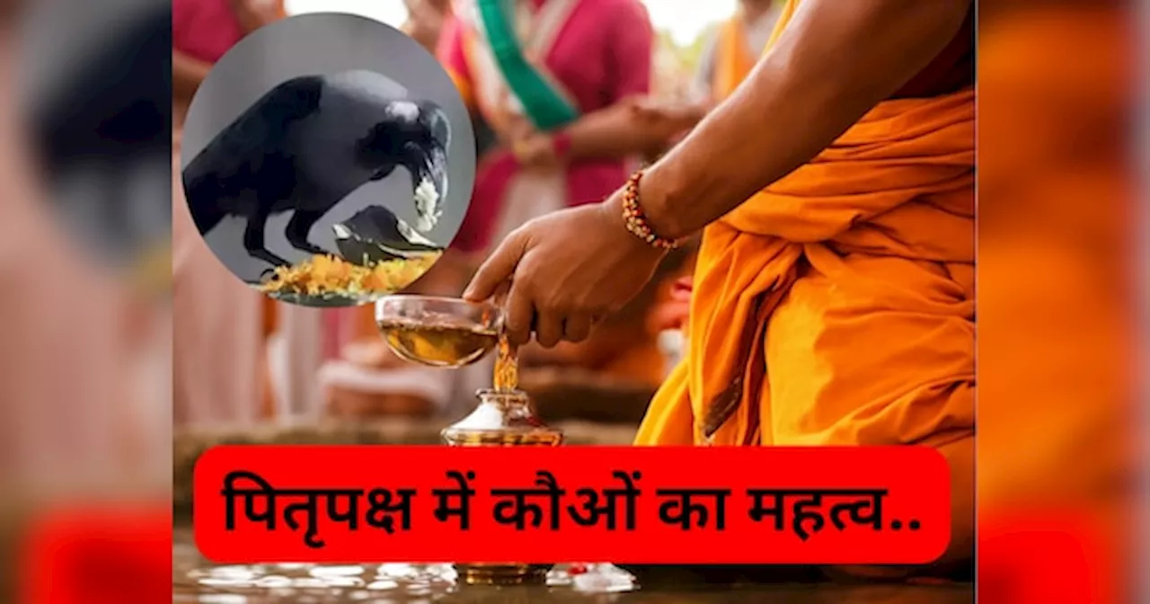 Pitru Paksha 2024: पूर्वजों की मुक्ति का कौओं से है क्या कनेक्शन? गरुड़ पुराण में छिपा है चौंका देने वाला रहस्य