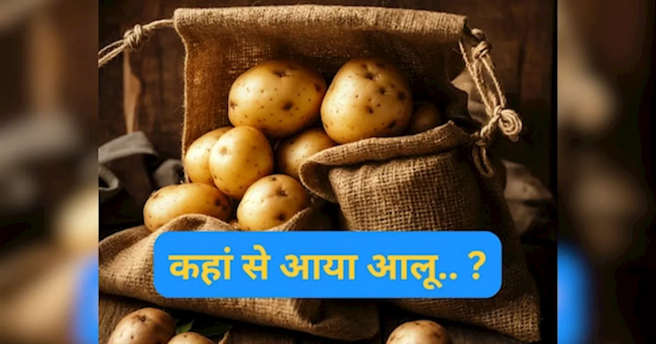 Potato: पहली बार कहां हुई थी आलू की खेती.. भारत नहीं है जवाब, 99 प्रतिशत लोग नहीं जानते सही जवाब