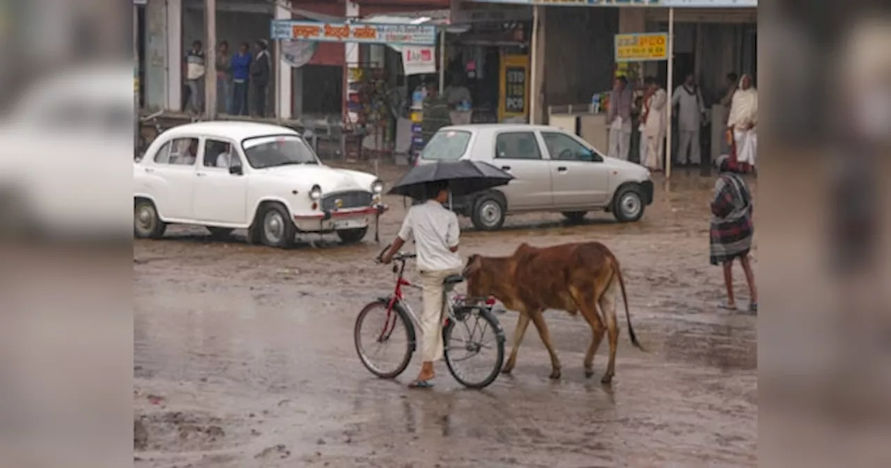 Rajasthan Weather Update: राजस्थान में फिर बदलेगा मौसम का मिजाज, अगले दो दिनों तक इन शहरों में जमकर बरसेंगे बादल