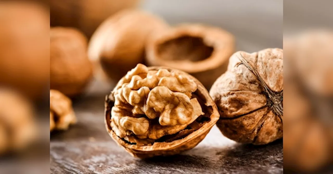 Walnut Benefits: सेहत का खजाना है अखरोट, रोजाना एक मुट्ठी खाने से शरीर को होंगे बड़े फायदे!