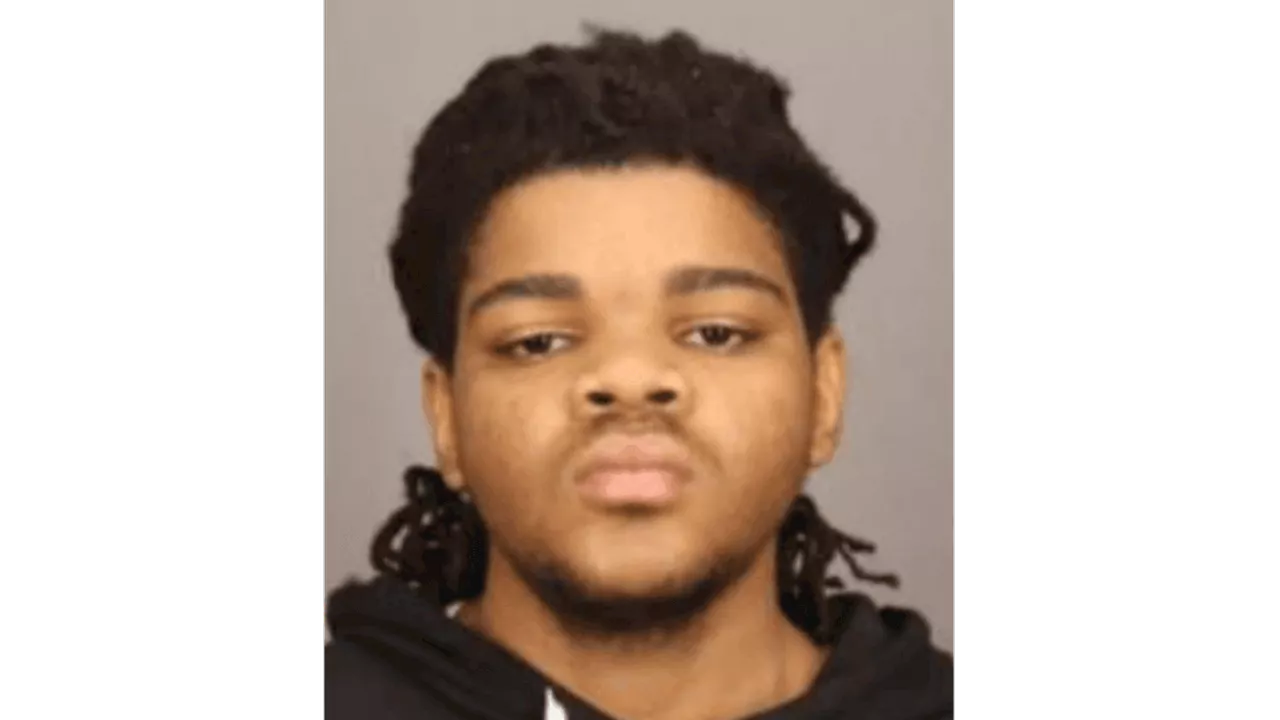 Rochester police seek suspect in connection with Maplewood Park mass shooting