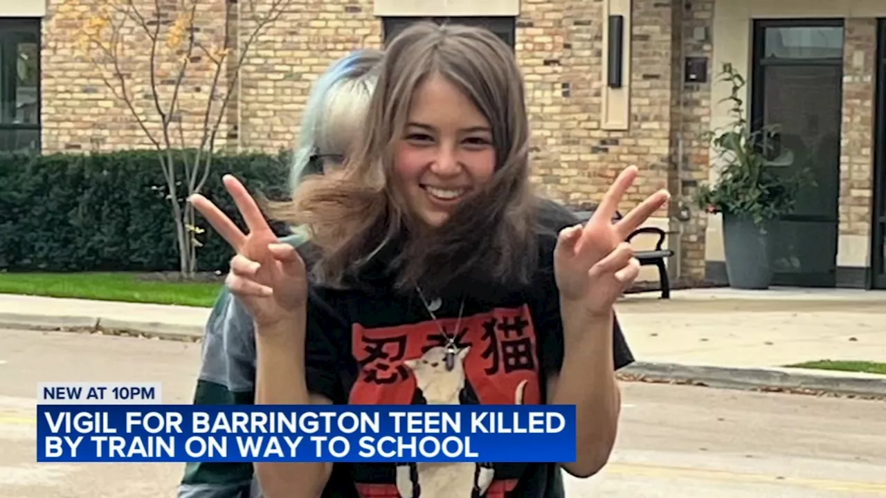 Family of teen girl hit, killed by Metra train in Barrington files lawsuit alleging negligence