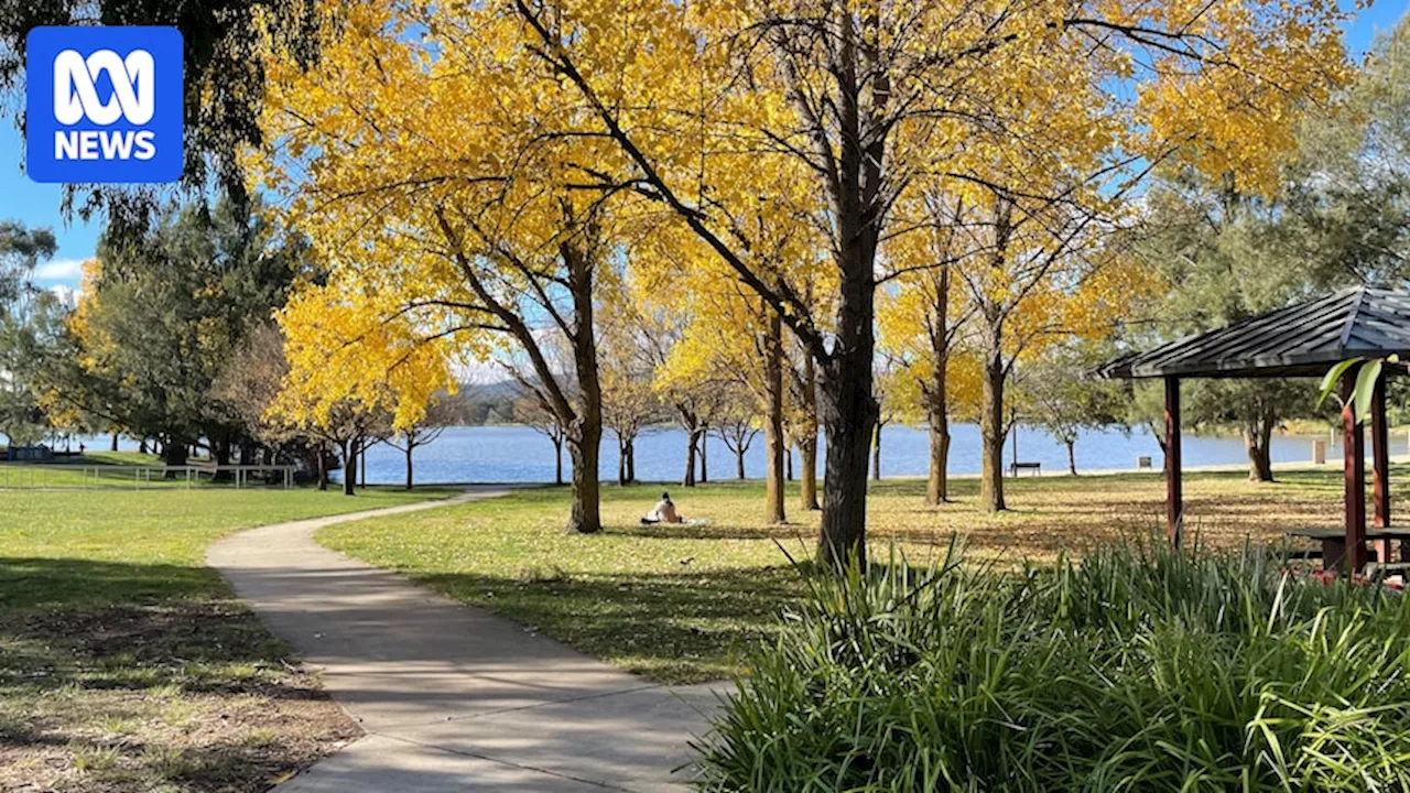 ACT Greens commit to a range of measures to combat climate change in 2024 election policy promise