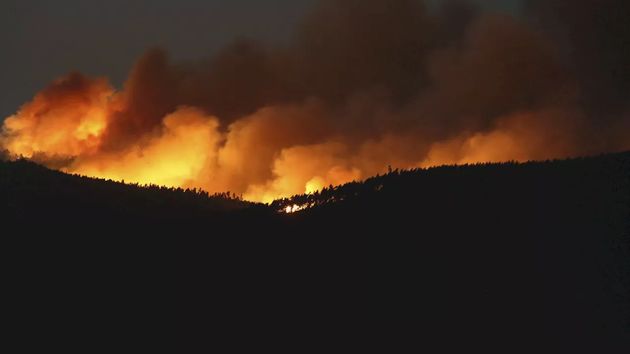 Portugal declares a state of calamity as wildfires rage out of control