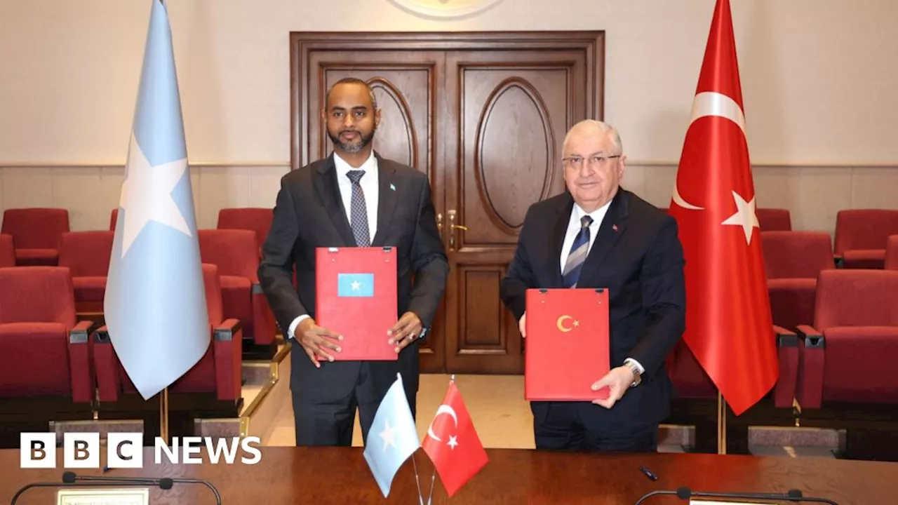 Horn of Africa: Why is Turkey deepening its ties with Somalia?