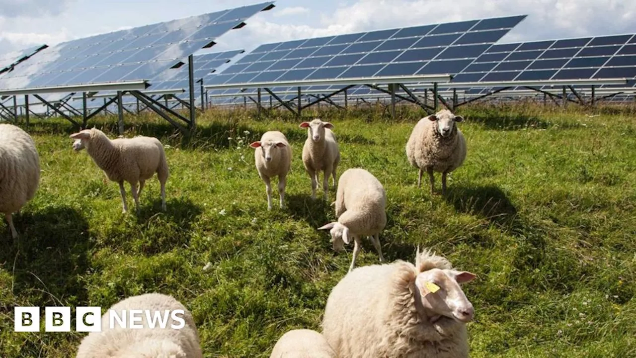 Locals get their say on giant solar farm planned for Norfolk