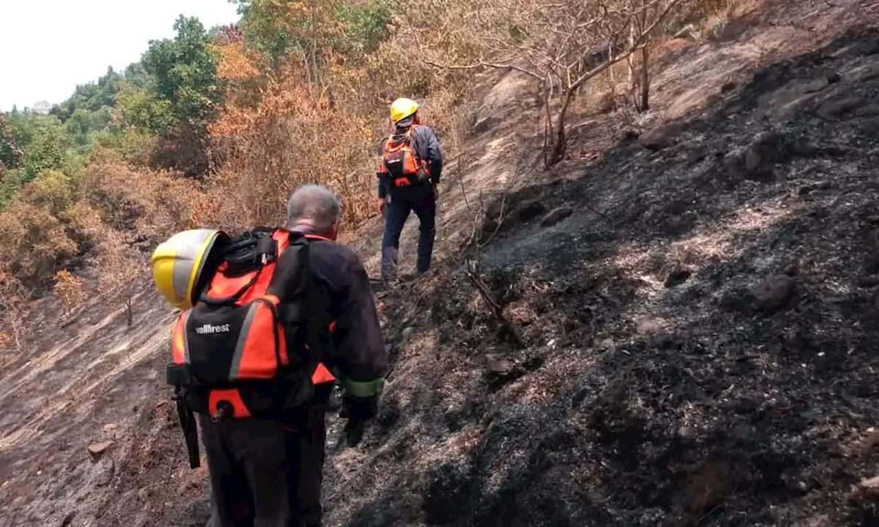 Bomberos de Cundinamarca a Gobierno: “Equipos contra incendios llevan meses guardados”