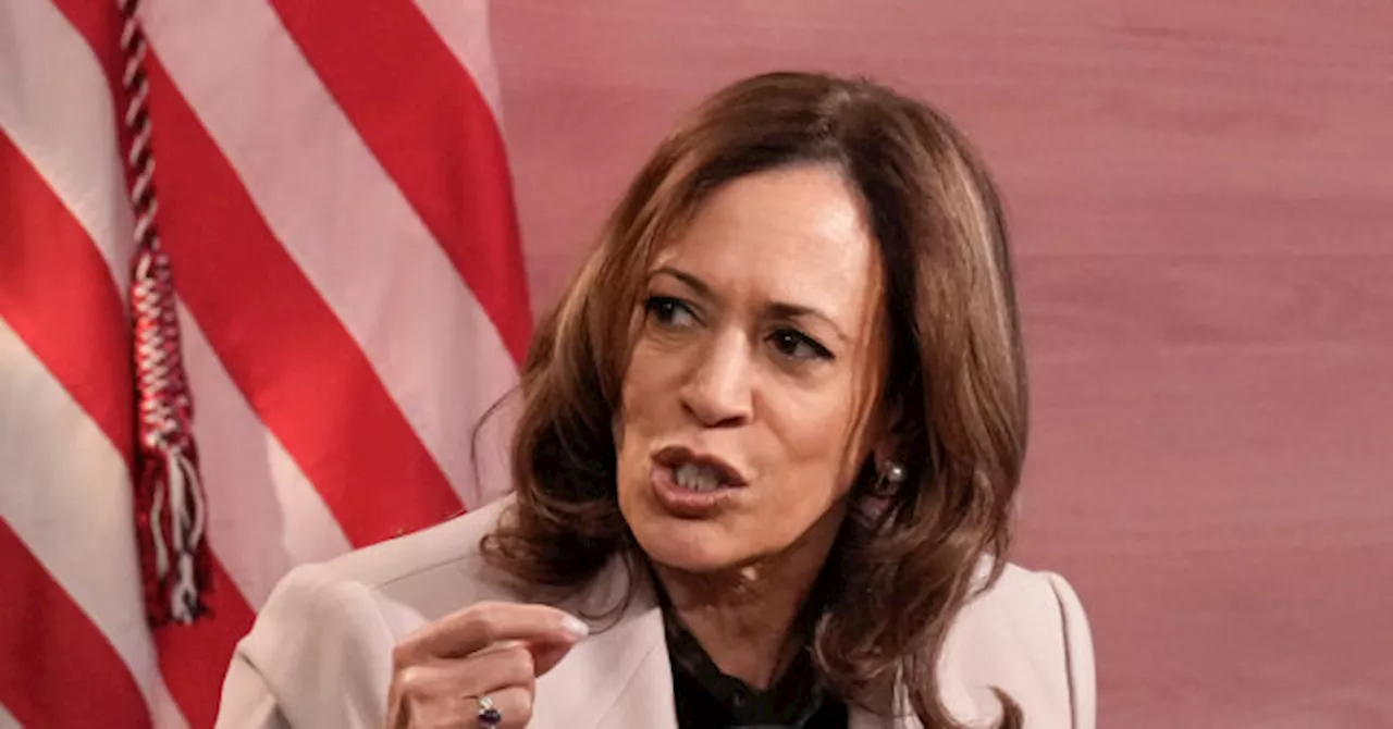 Kamala Harris Admits Inflation Too High Under Biden-Harris Administration