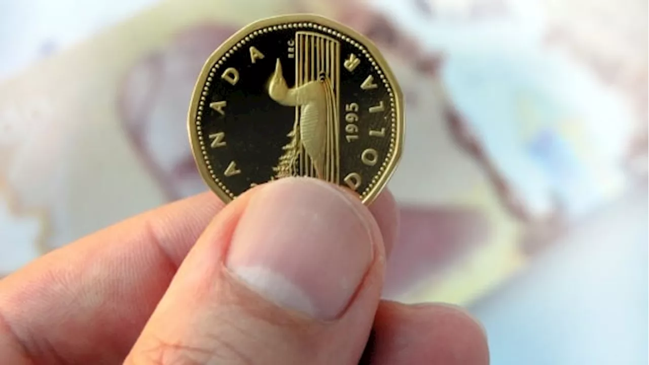 Bank of Canada shelves idea for digital Loonie