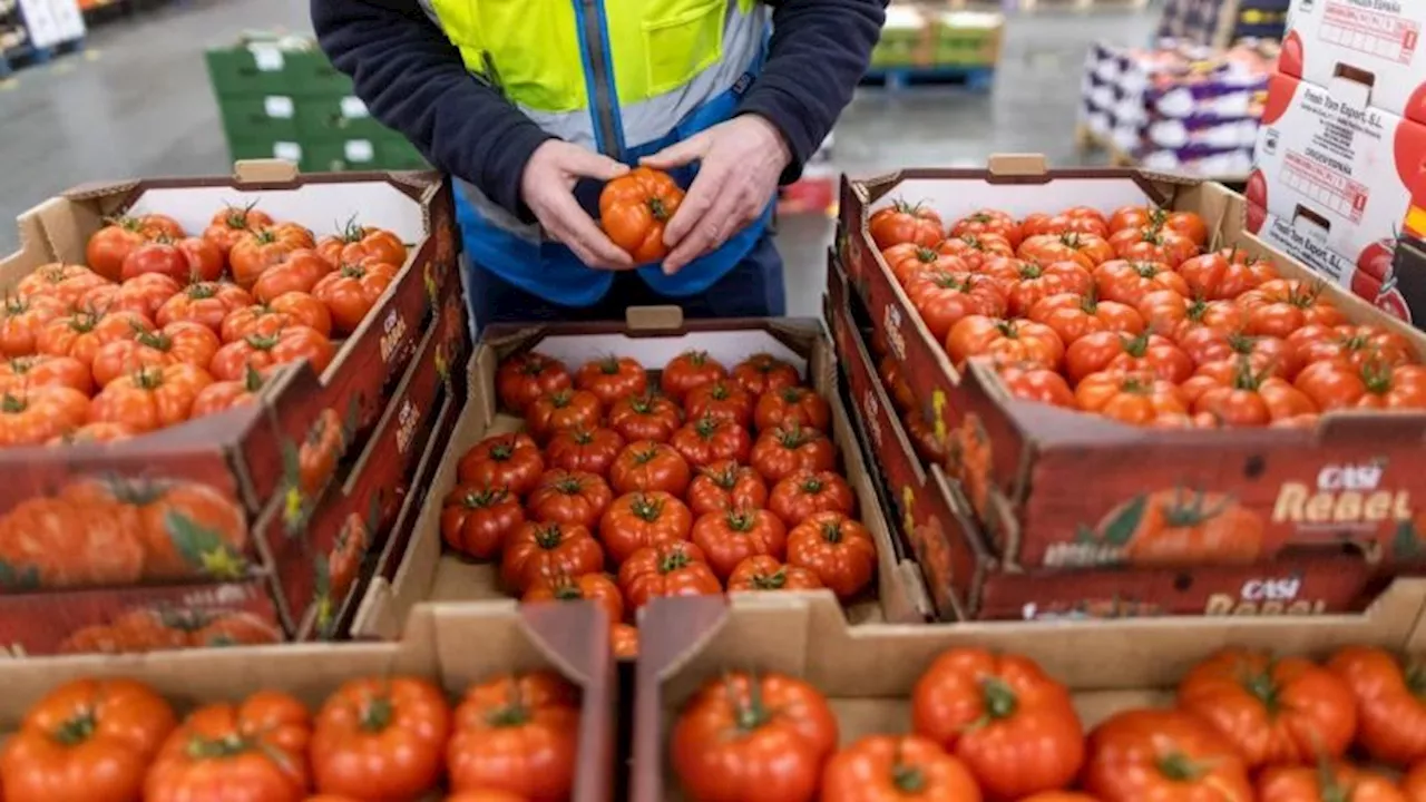 El Brexit reduce drásticamente el comercio entre el Reino Unido y la UE