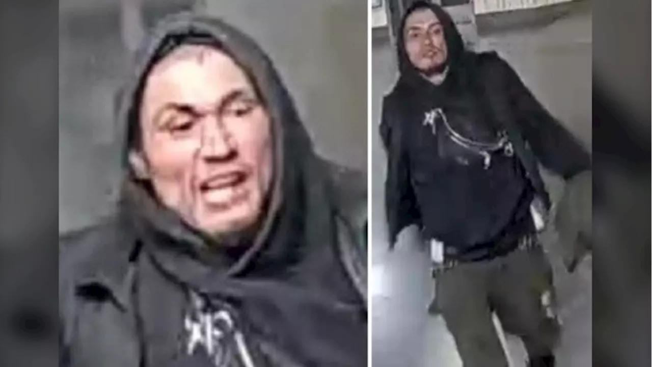 Wanted man yelled anti-Black slurs at TTC rider then assaulted them, say police