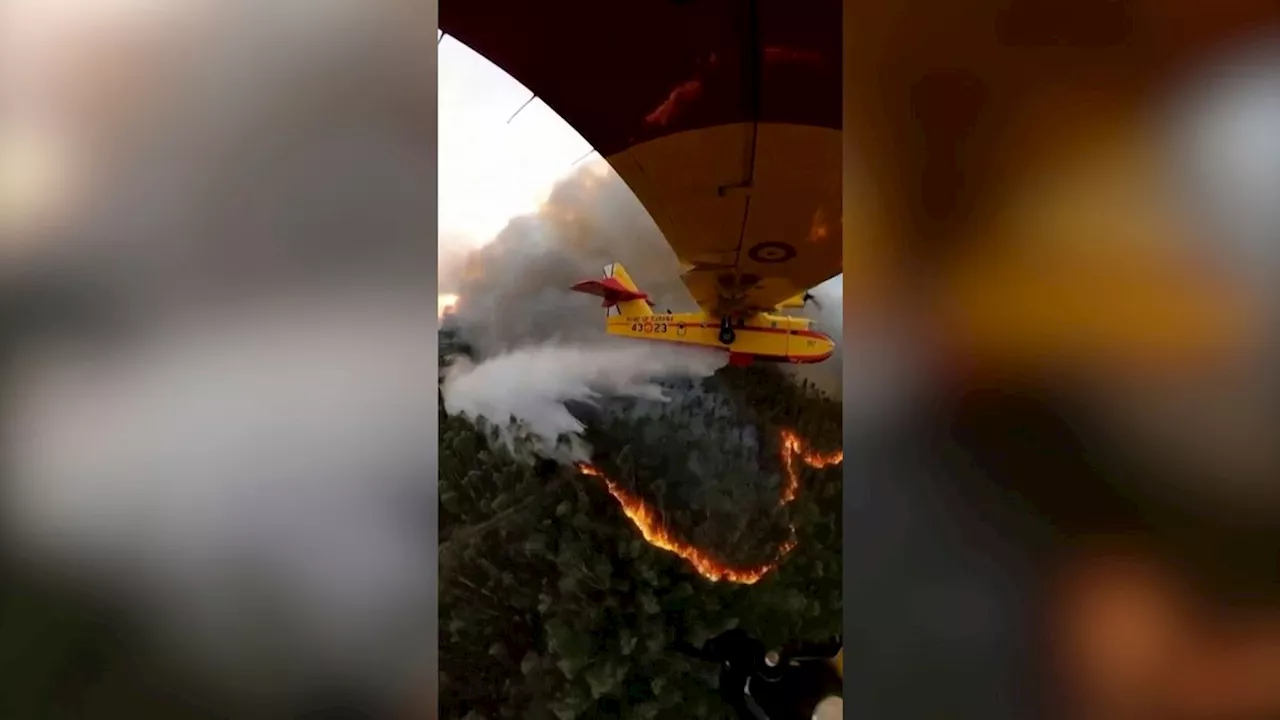 Waldbrände in Portugal: 5300 Feuerwehrleute gegen 20 Großfeuer