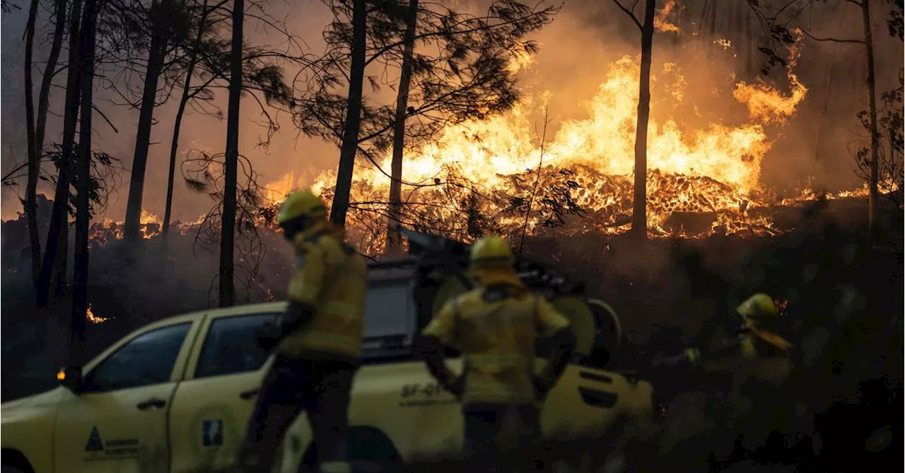 Verheerende Waldbrände in Portugal: Sieben Tote und zerstörte Dörfer