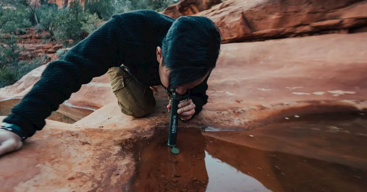 Everyone should have a LifeStraw in their emergency kit — only $13 today