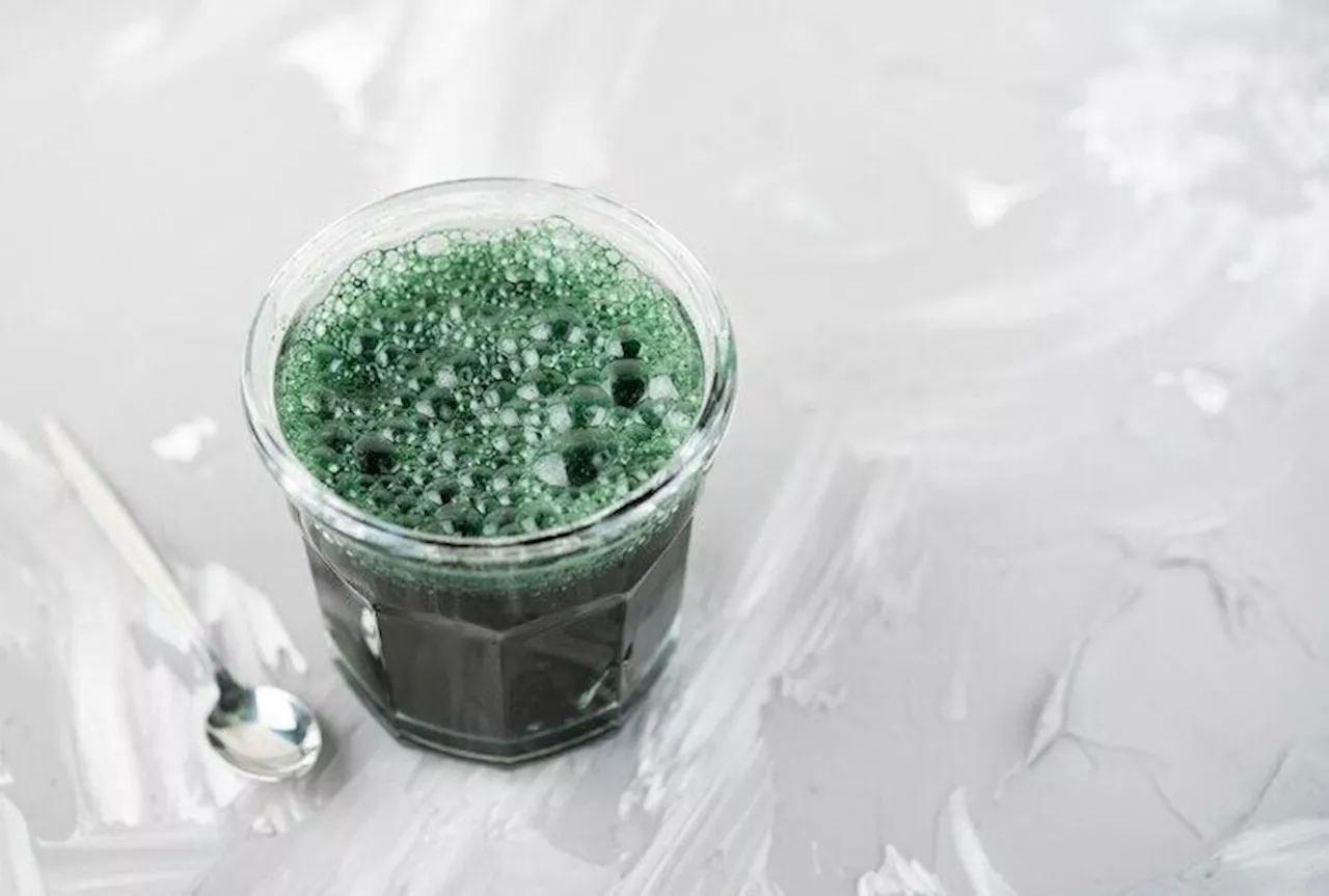 Las contraindicaciones de consumir espirulina para la salud de los riñones