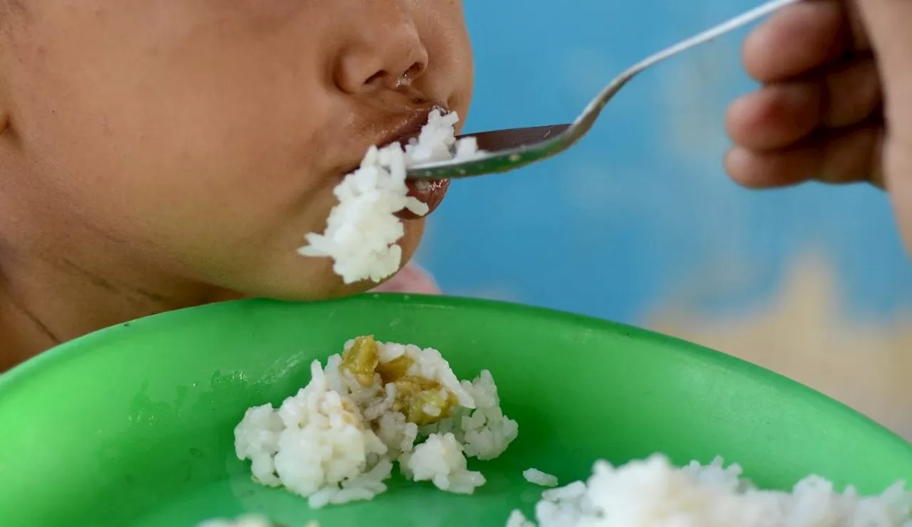 NEDA to review P64 'food poor' threshold, solon says