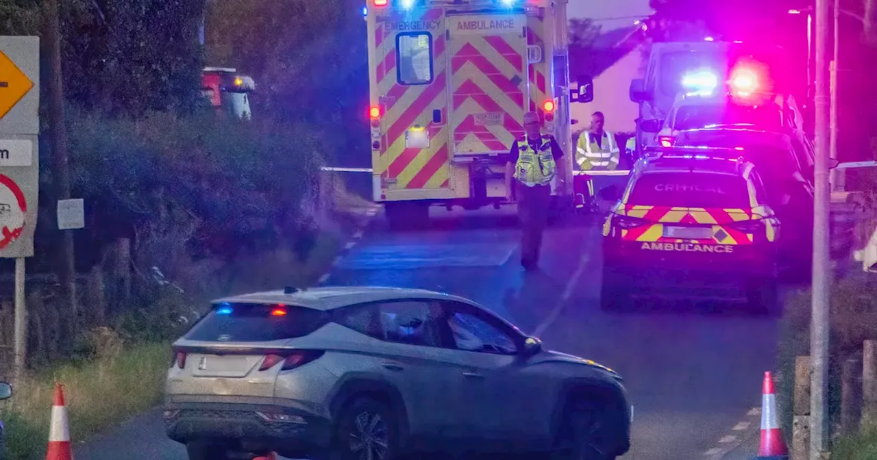 Pedestrian, 80s, dies after being struck by van as gardai issue appeal