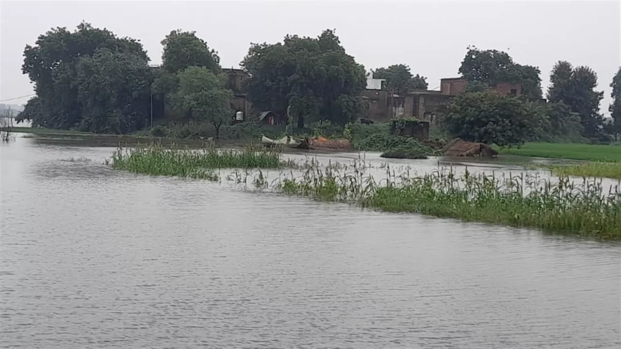 UP Flood: यूपी में बाढ़ से सैकड़ों परिवार घिरे, बंद की गई बिजली आपूर्ति; राहत कार्य में जुटा प्रशासन