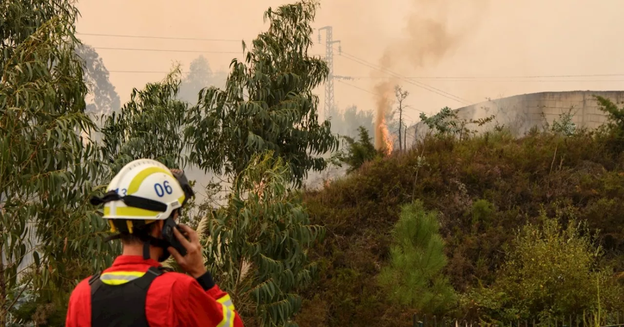 Incendios en Portugal: 5 muertos y 5.000 bomberos en acción