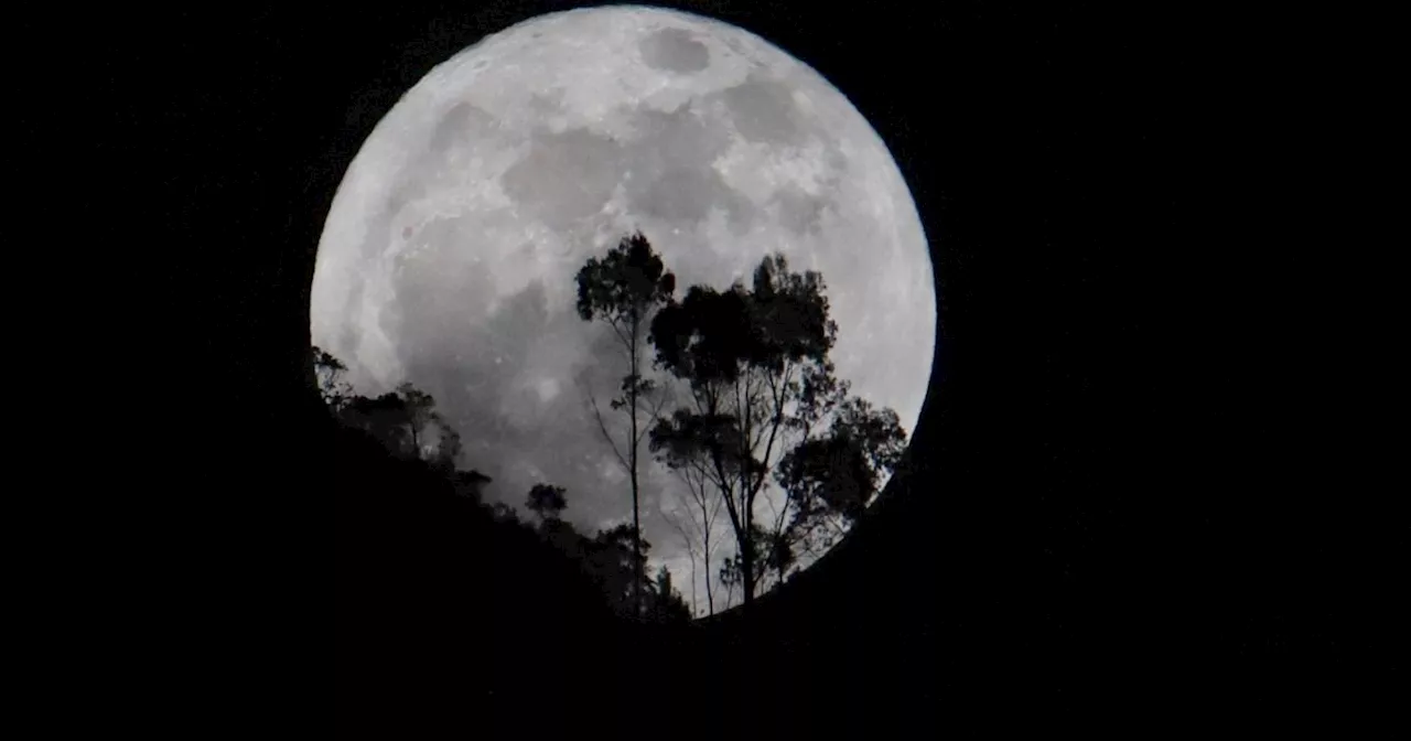 La Tierra tendrá DOS LUNAS por dos meses: por qué