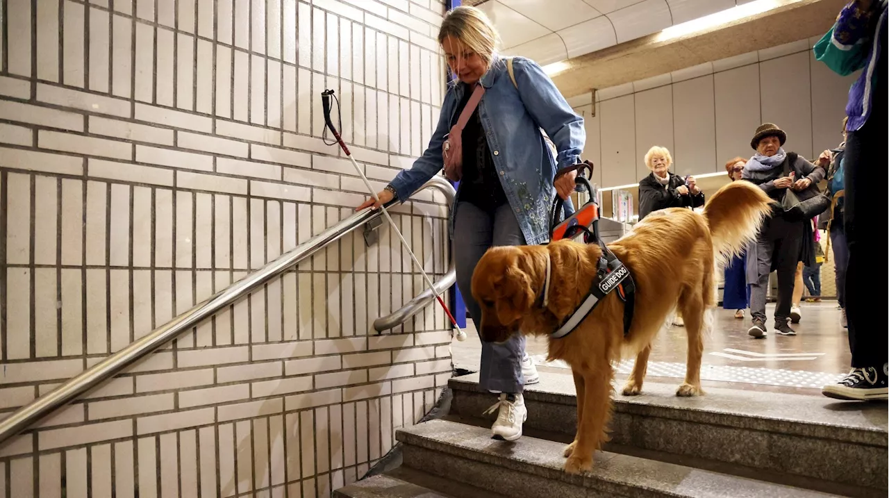 Marseille : des bus et métros réellement accessibles pour les handicapés en 2030 ?