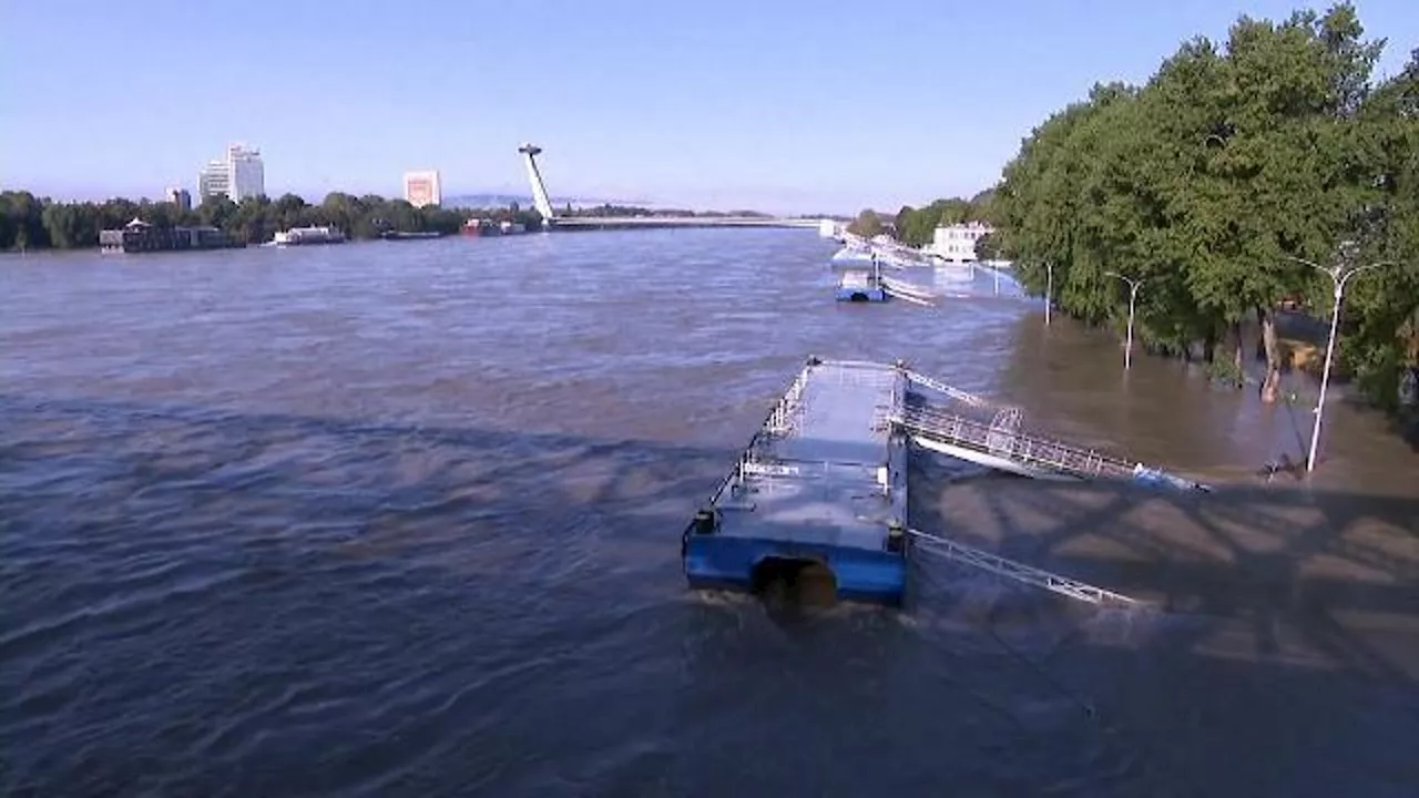 Slovacchia, i danni dell'esondazione del Danubio a Bratislava: strade allagate e alberi sradicati