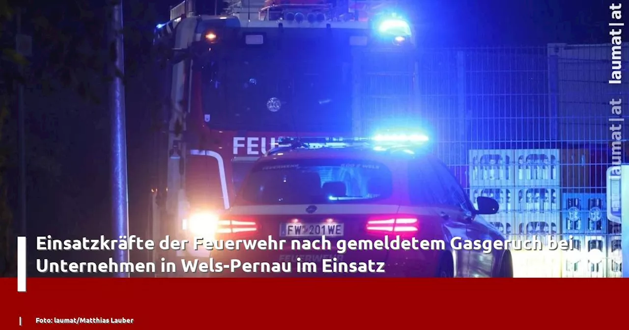 Gasgeruch in Wels-Pernau: Feuerwehreinsatz bei Großhändler