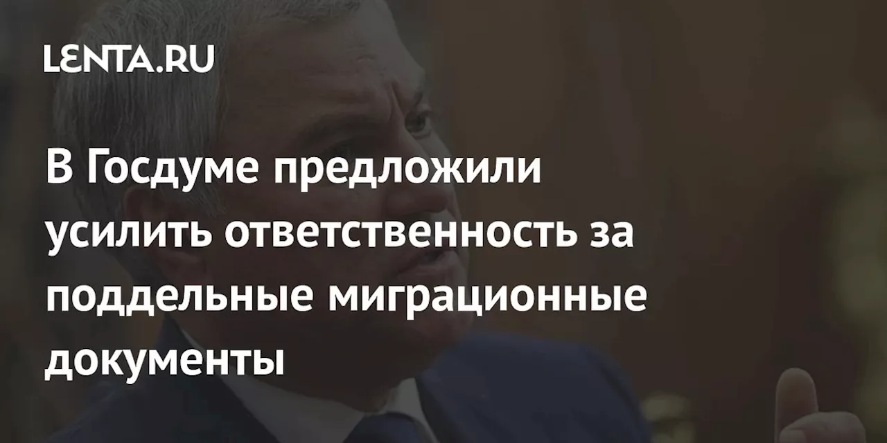 В Госдуме предложили усилить ответственность за поддельные миграционные документы