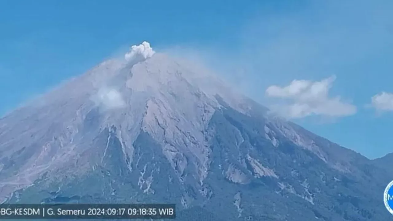 Gunung Semeru Erupsi, Ketinggian Letusan Capai 500 Meter dari Puncak