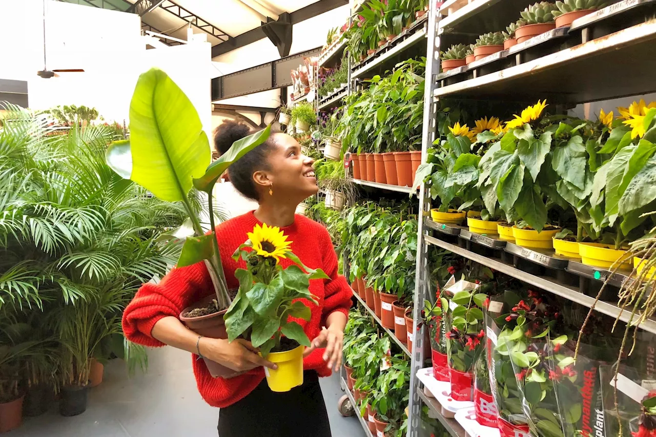 Une grande vente de plantes à petits prix aux Docks ce week-end