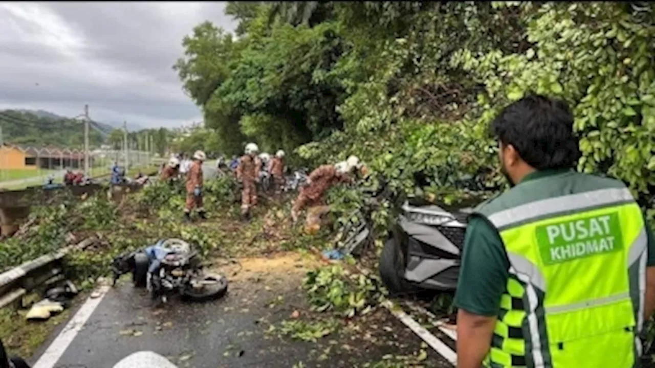 In Kamunting, four injured, two critically, after tree crushes MPV and motorcycle