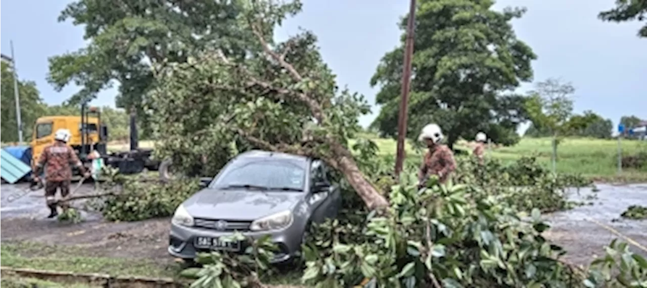 Storm leaves trail of destruction across Sabah — at least 23 trees toppled as winds roar at 43km/h