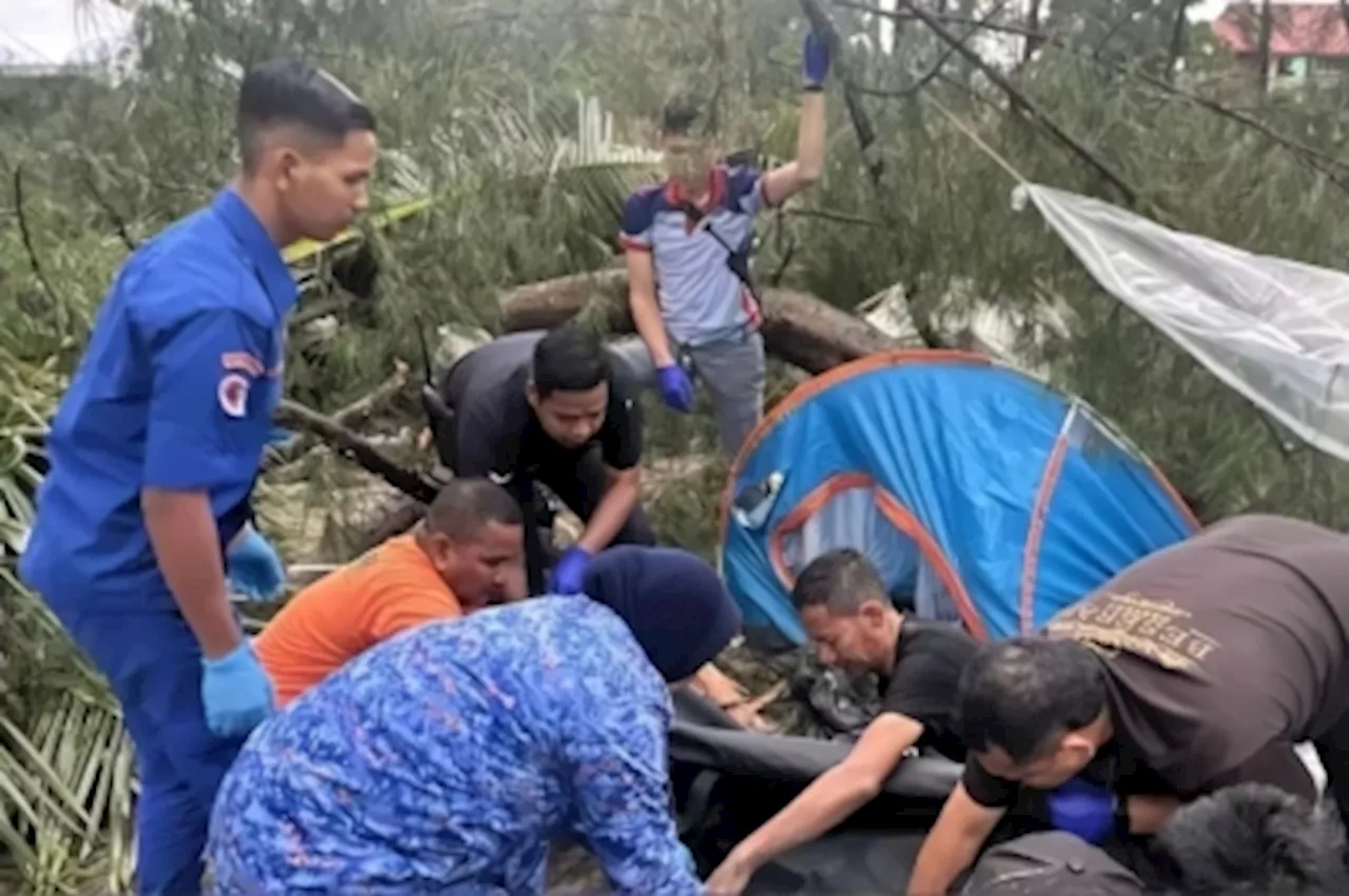 Storm topples tree at Kuantan campsite, killing elderly man, injuring granddaughter