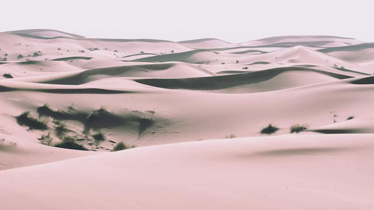 Perché il Sahara sta diventando più verde