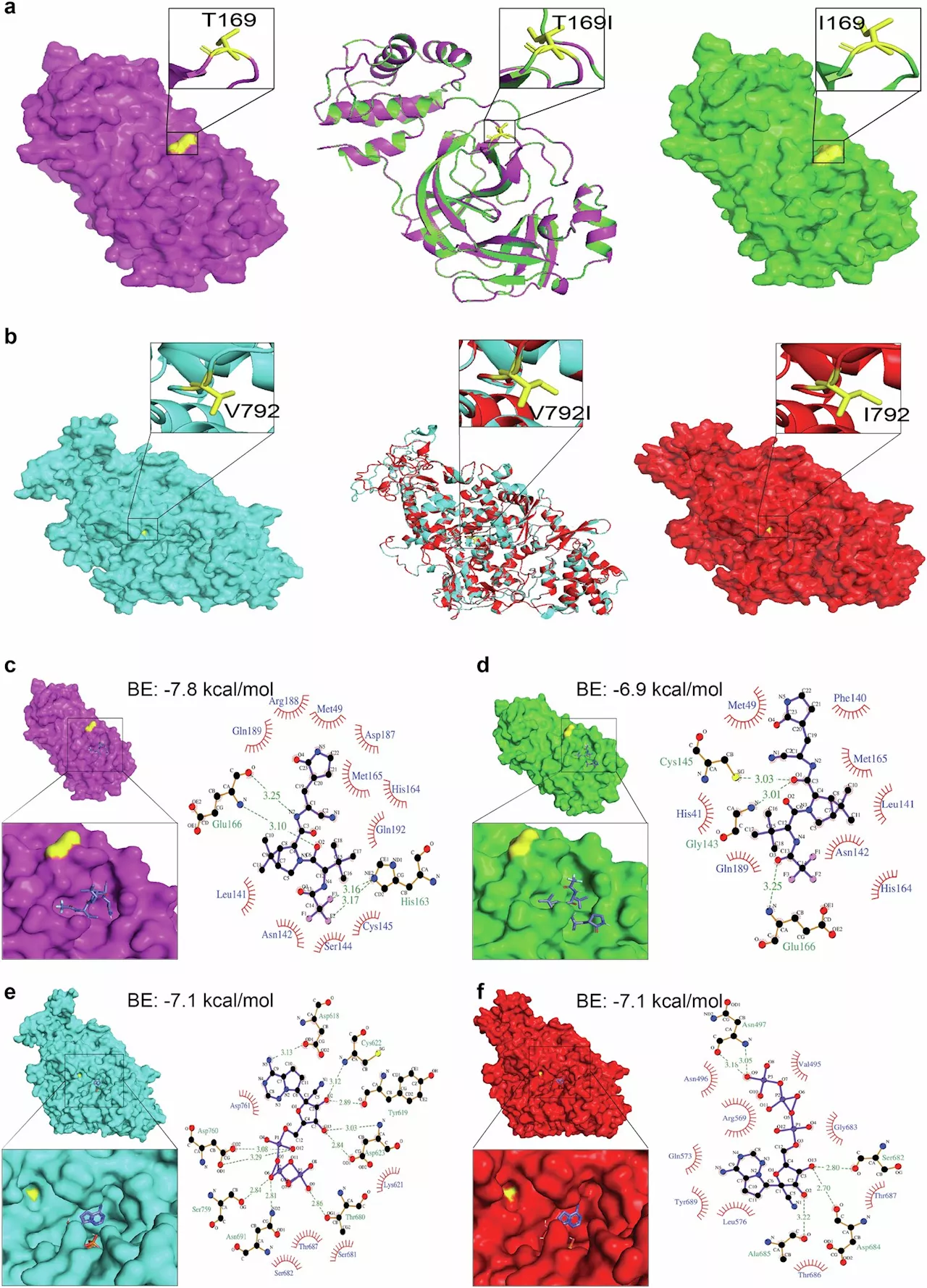 Antiviral-resistant variants of SARS-CoV-2 can emerge in immunocompromised people