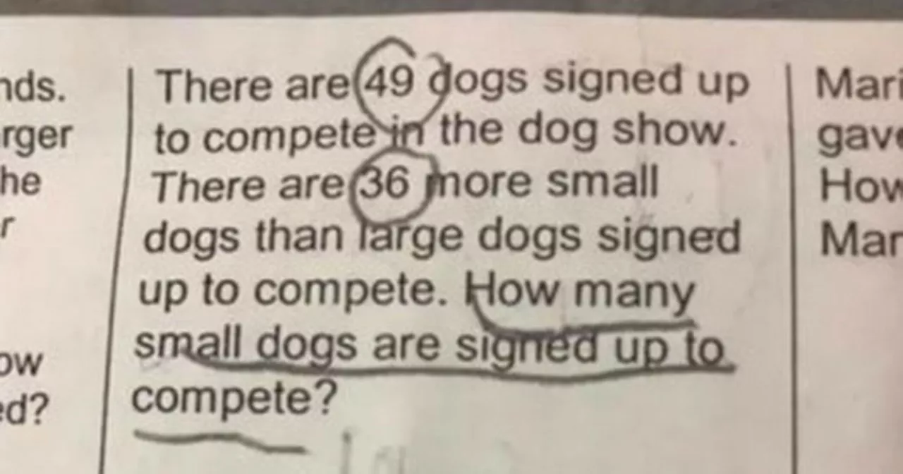 Confusing maths problem from 7-year-old's homework baffles parents