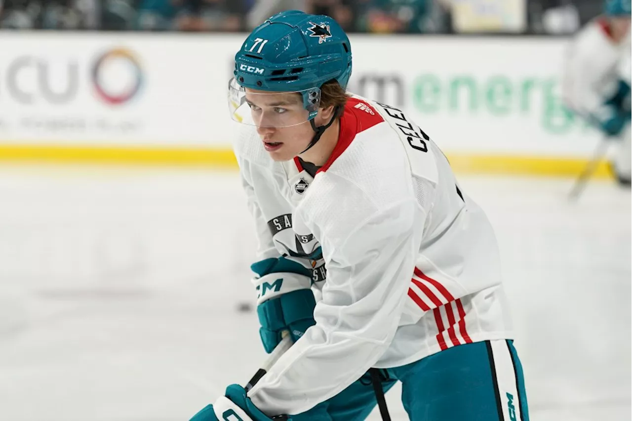 San Jose Sharks announce training camp schedule, roster