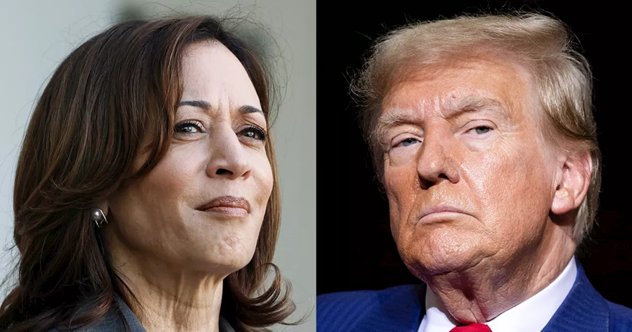 Election 2024 live updates: Harris to speak at Hispanic conference; Trump to rally in New York