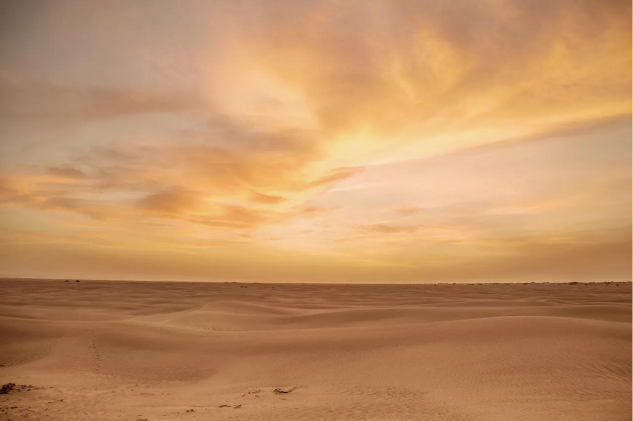 Before-and-After Photos Show Unusual Change in World's Largest Hot Desert