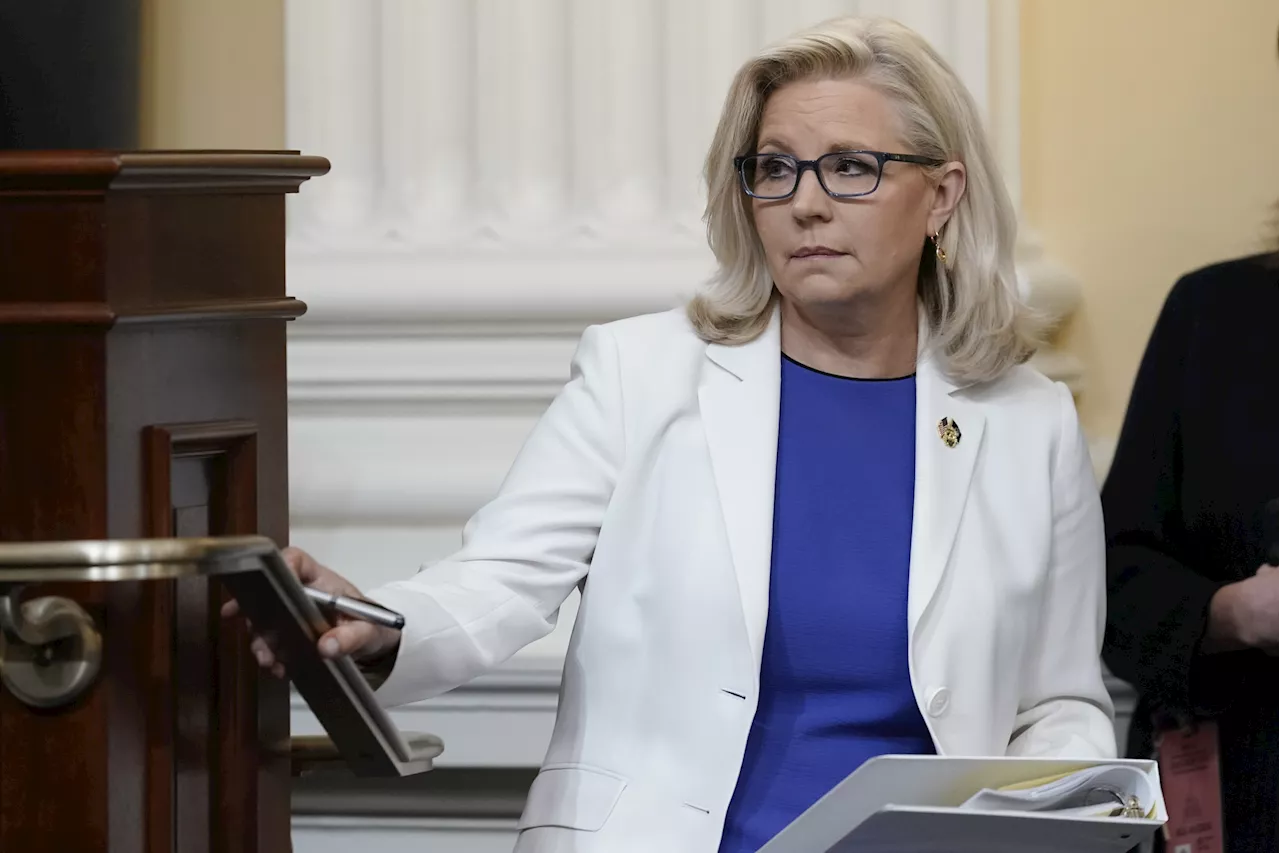 Liz Cheney Responds to Kamala Harris Cabinet Rumor