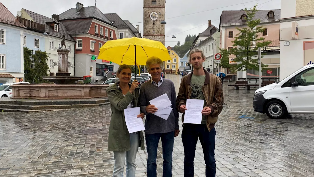 Ärger über FP-Plakatslogan in Waidhofen/Ybbs