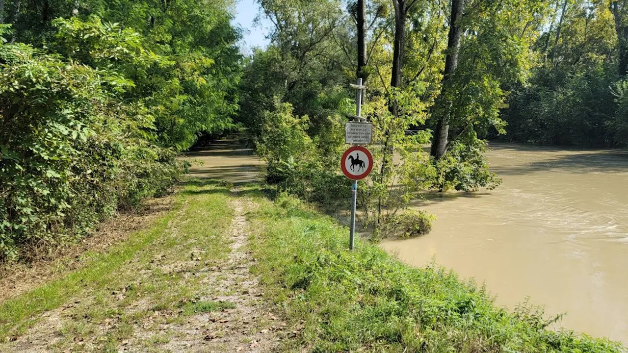 Pachfurther Waldwege überflutet: Zufahrt zu Tier-Gnadenhof gefährdet