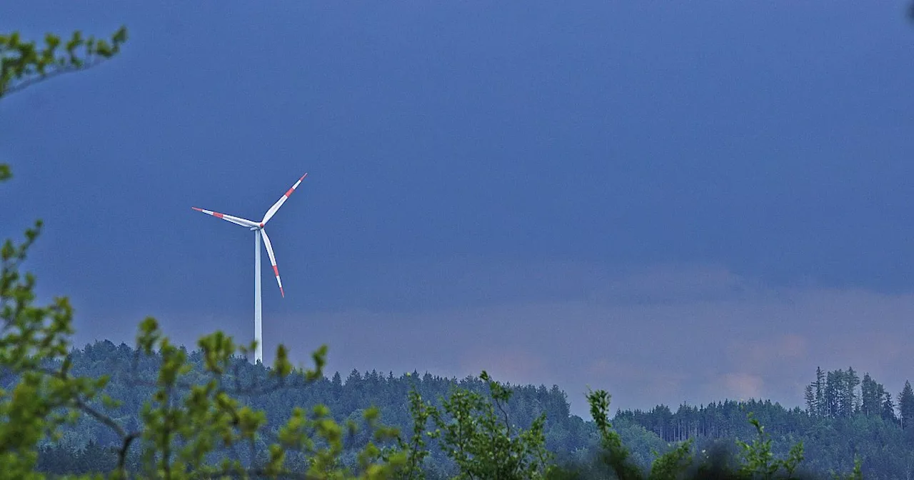 Windkraft in den Wäldern von OWL: „Unerträglich für den Teutoburger Wald“