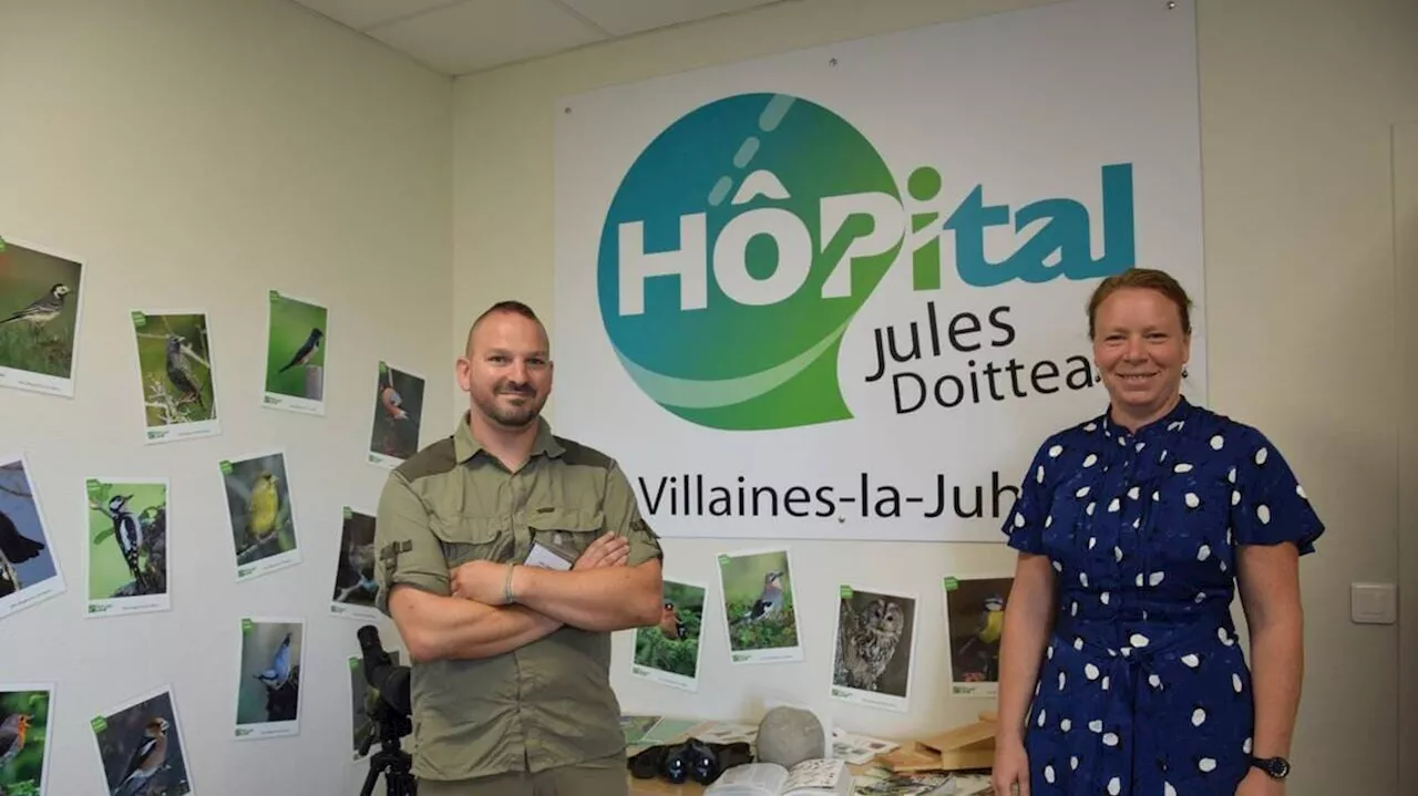 À Villaines-la-Juhel, l’hôpital Jules-Doitteau devient refuge pour les oiseaux