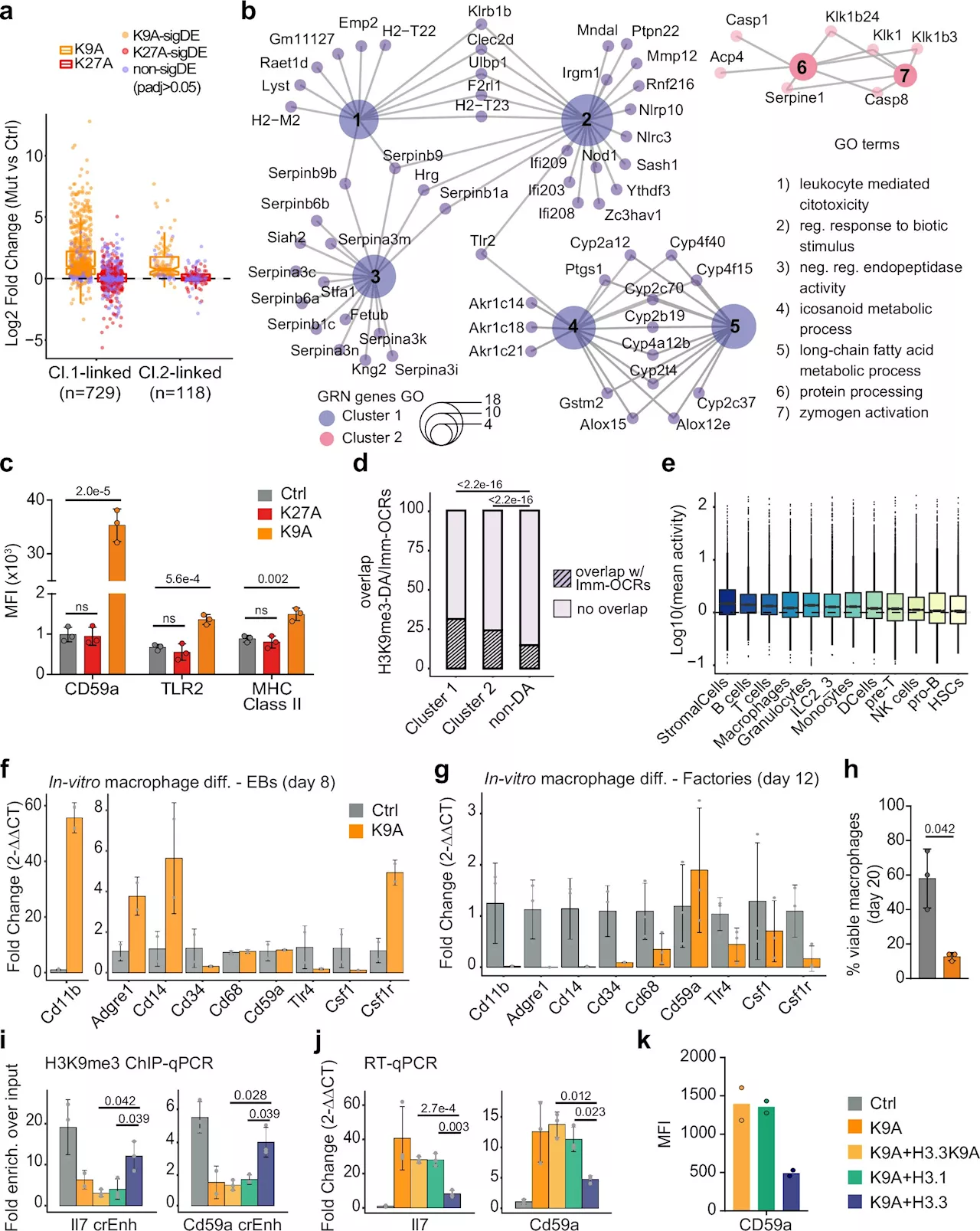 Silencing in action: How cells 'repress' genomic remnants of ancient viruses