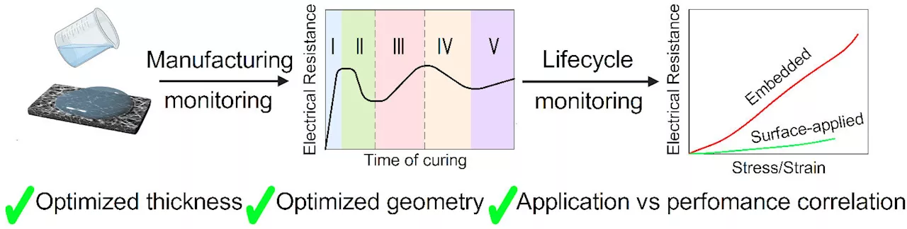 Single-step lifecycle monitoring made fast and easy with single-walled carbon nanotubes