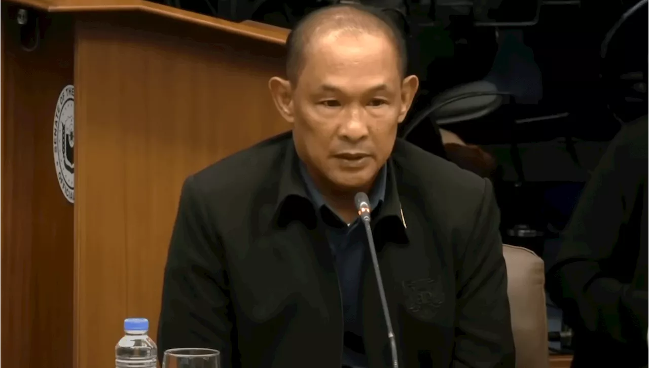 Ex-CIDG chief Caramat says he was kept in the dark about Bamban POGO raid