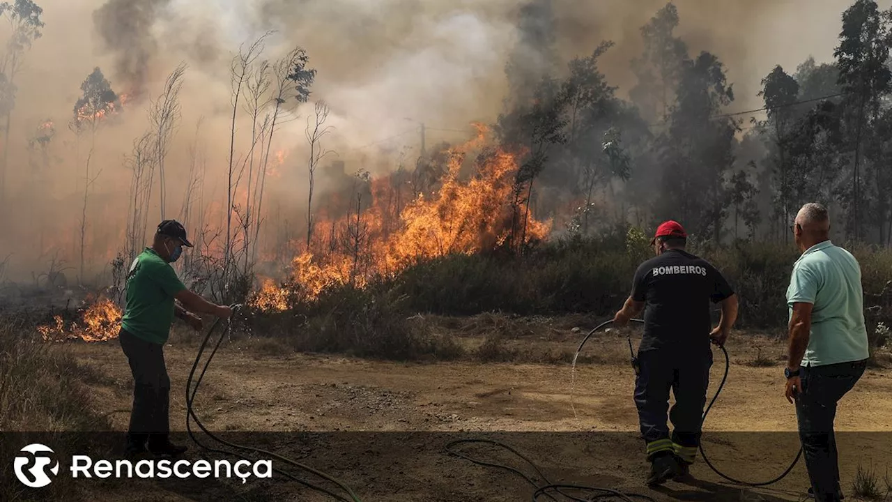 Incêndios. Fogo em Albergaria-a-Velha em resolução