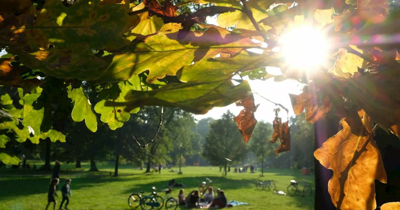 Wetter in Köln, Düsseldorf und Co. am Wochenende: Es wird warm