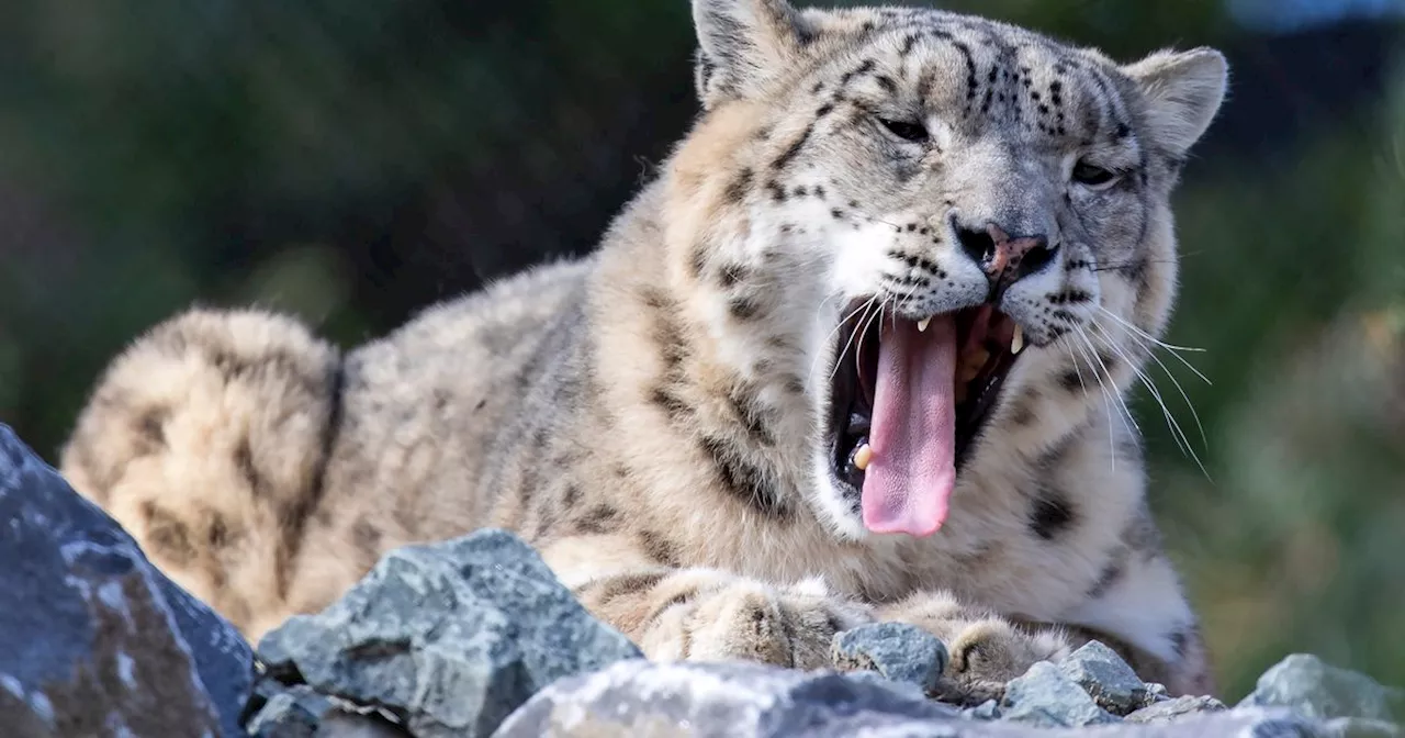 Deals of the week: Half price Dublin Zoo tickets, 40% off beauty and more